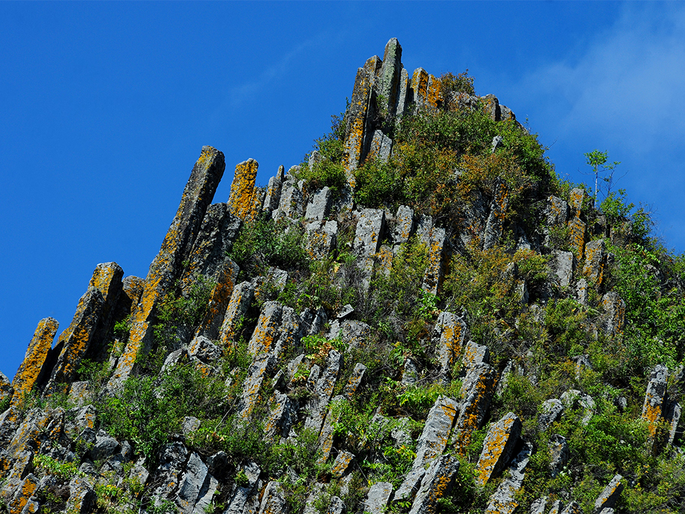 The life of a designer is a life of fight: fight against the ugliness.